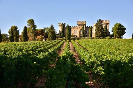 Bienvenue Chez Shiva Daire Châteauneuf-du-Pape Dış mekan fotoğraf