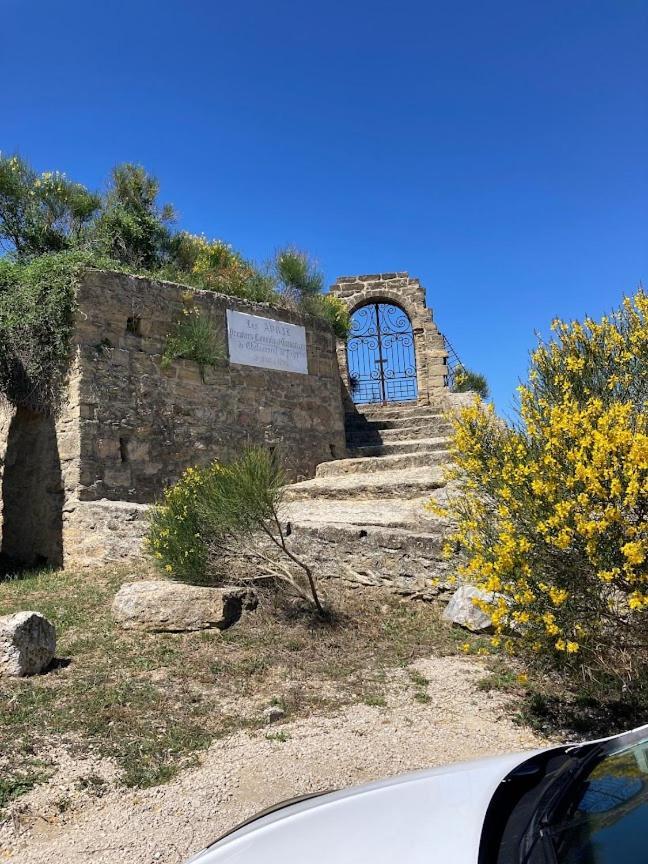 Bienvenue Chez Shiva Daire Châteauneuf-du-Pape Dış mekan fotoğraf
