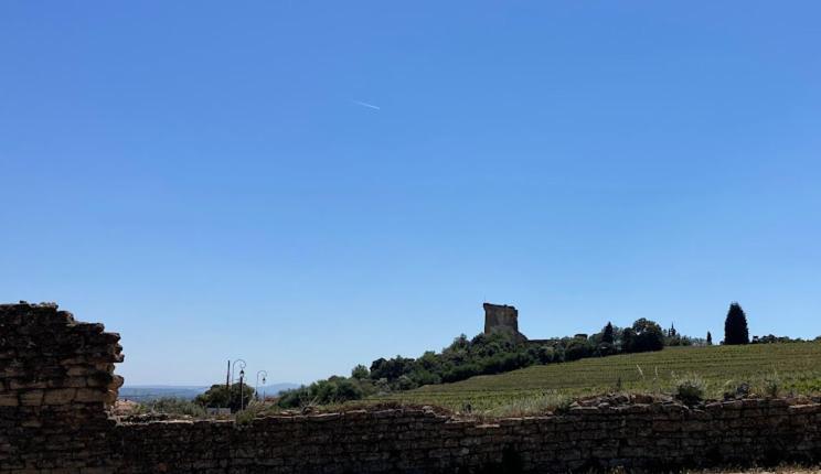 Bienvenue Chez Shiva Daire Châteauneuf-du-Pape Dış mekan fotoğraf